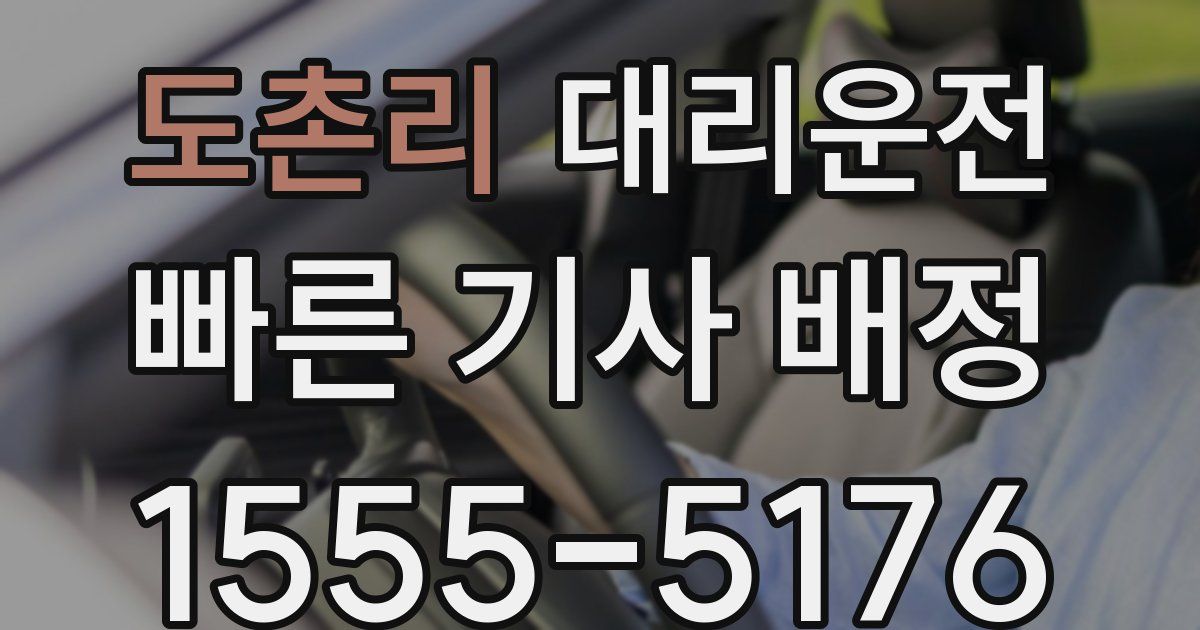 일일대리기사