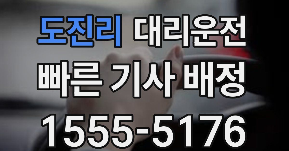 일일대리기사