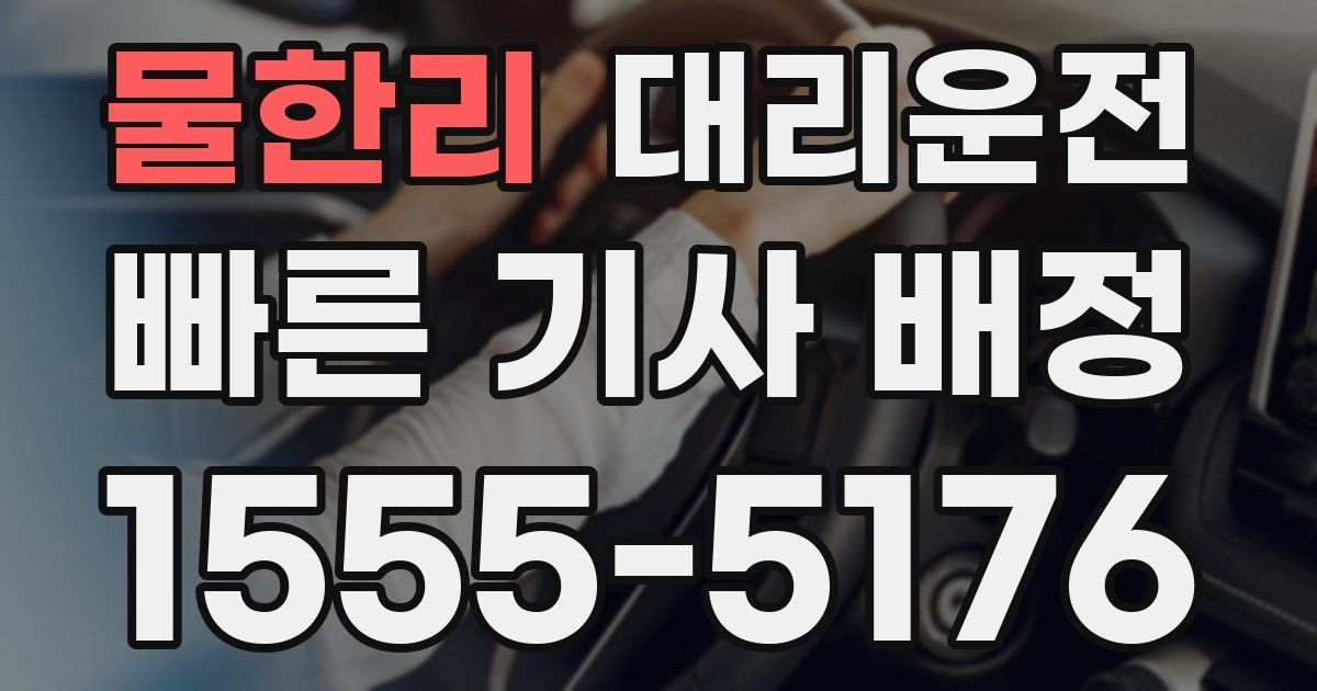 일일대리기사