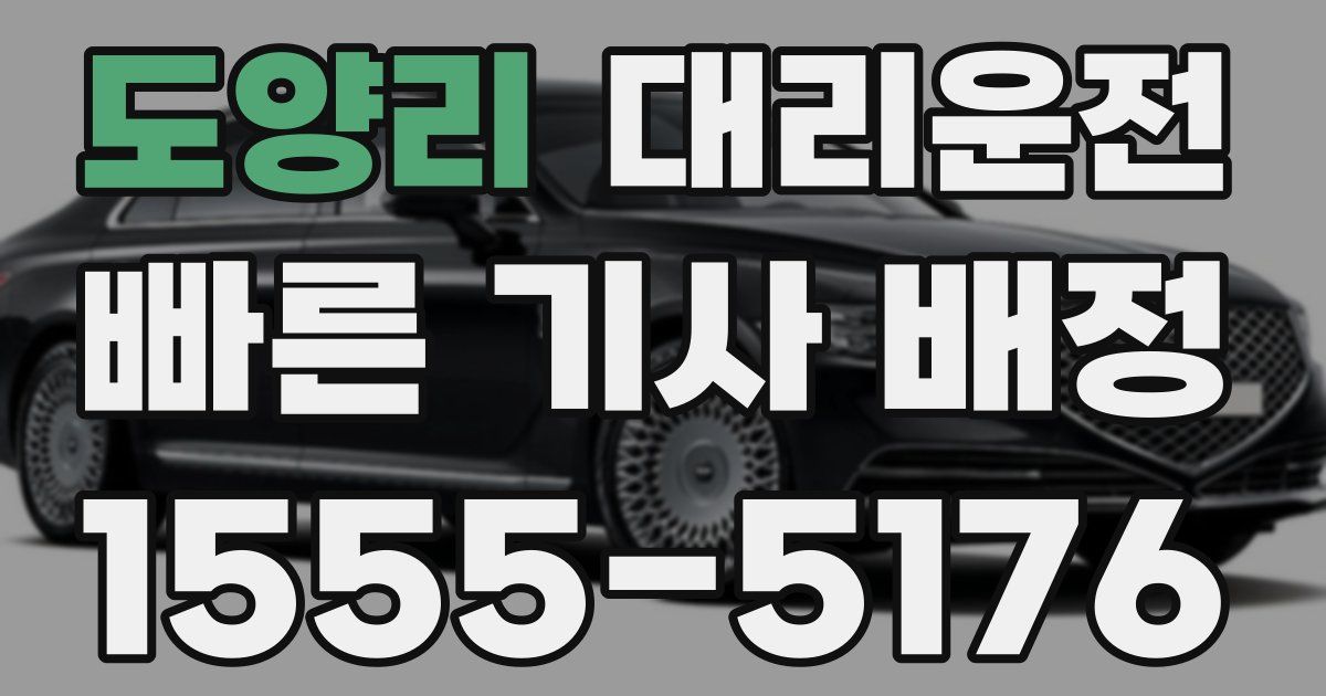 일일대리기사
