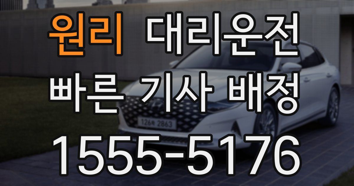 일일대리기사