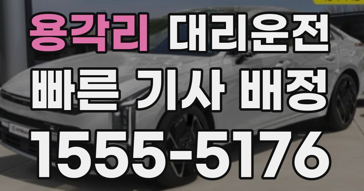 일일대리기사