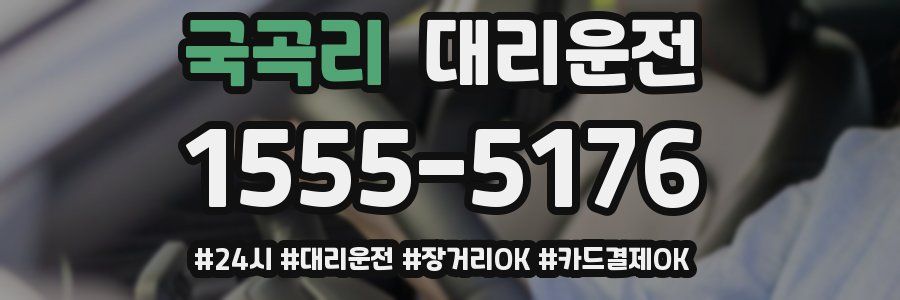 국곡리 대리운전