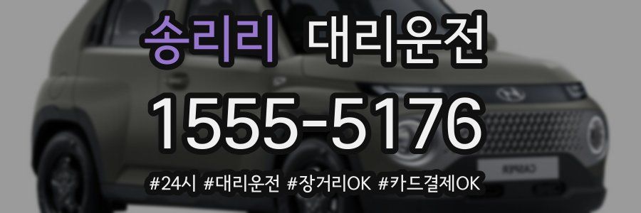 송리리 대리운전