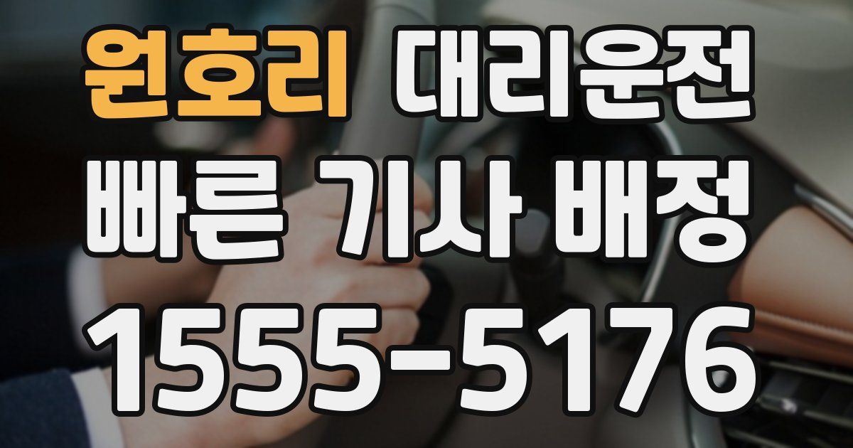 일일대리기사