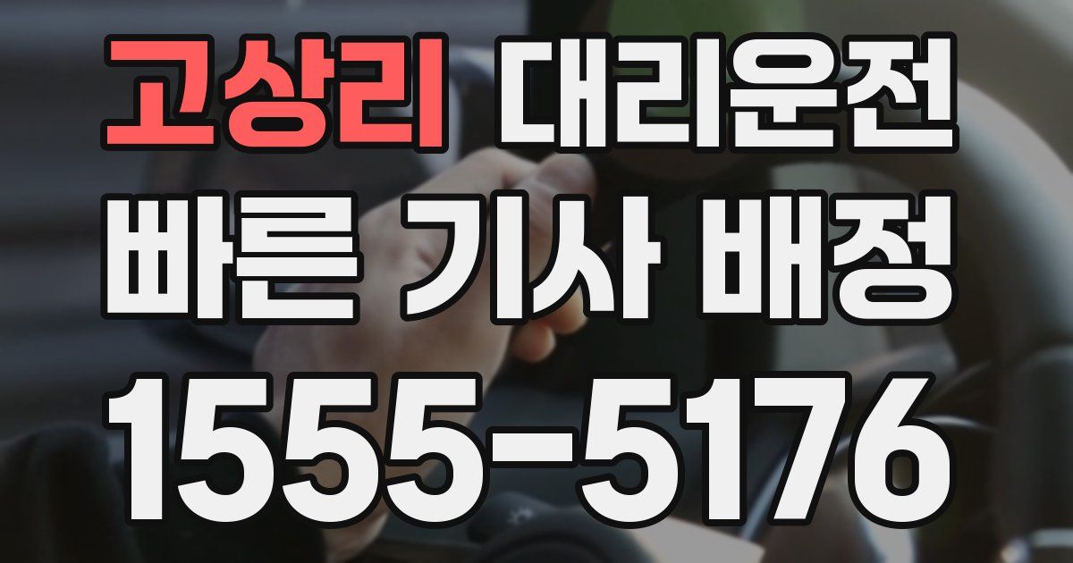 일일대리기사