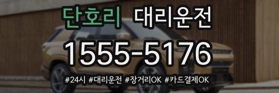 단호리 대리운전