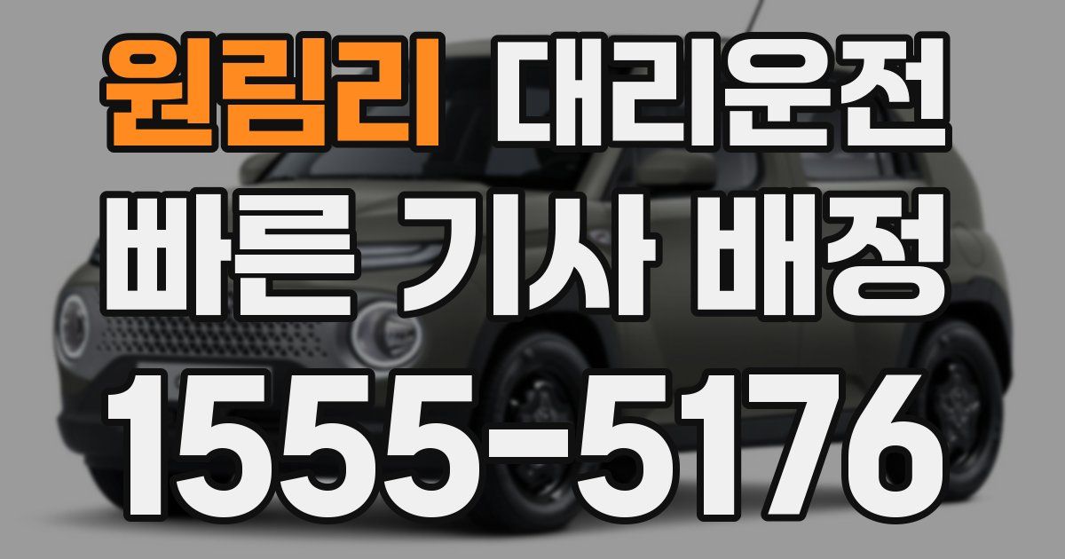 일일대리기사