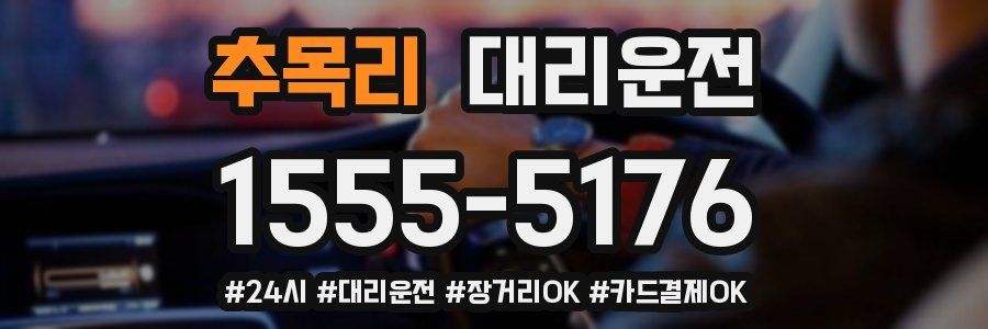 추목리 대리운전