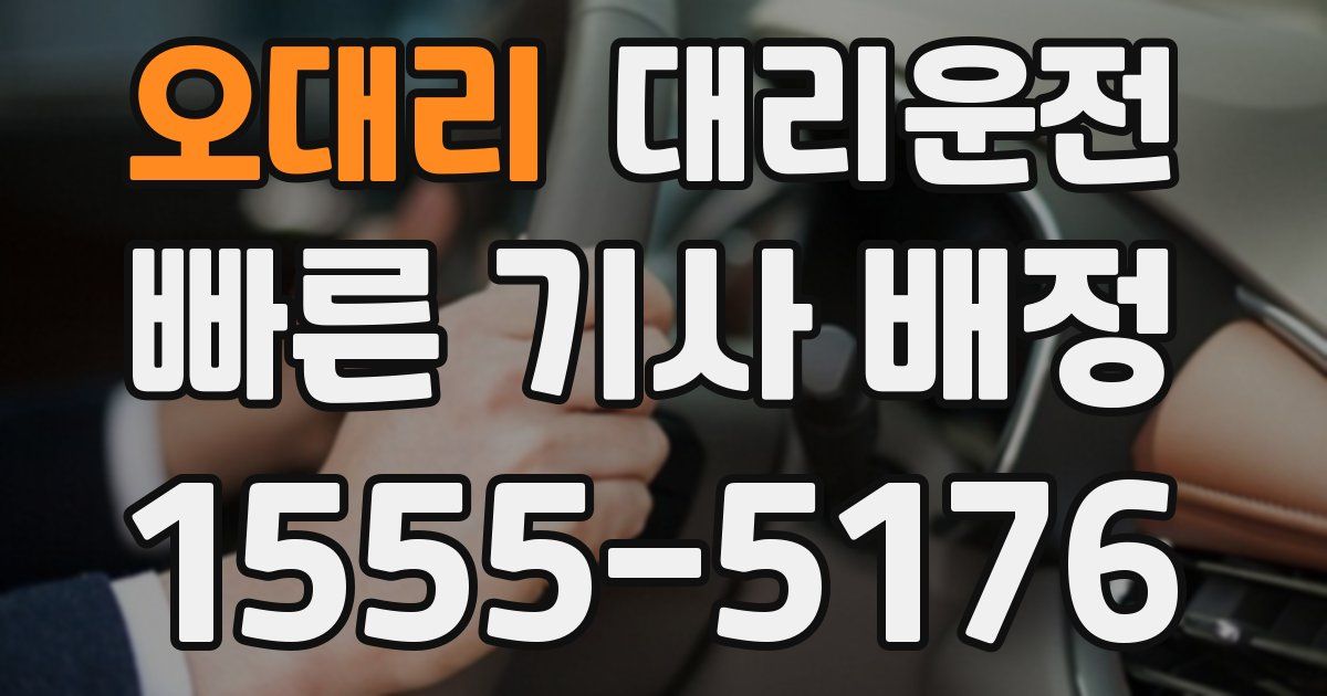 일일대리기사