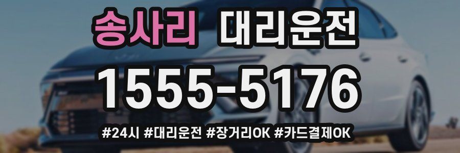 송사리 대리운전
