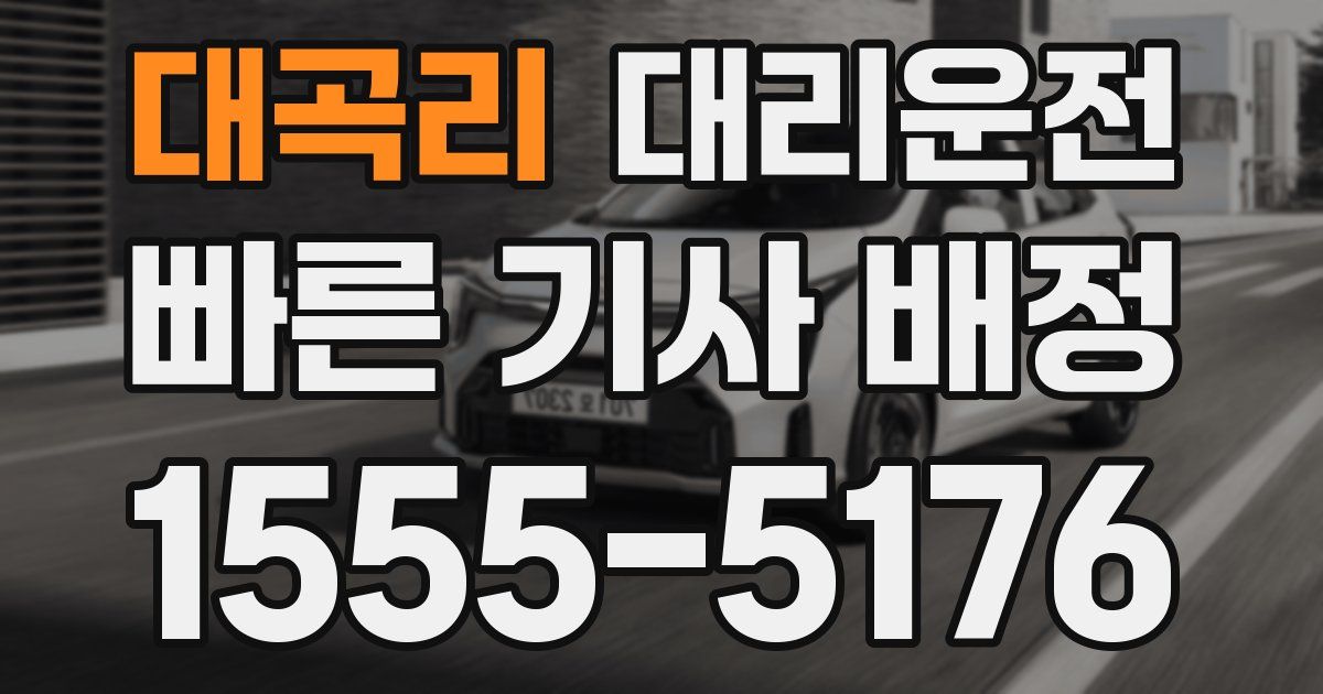 일일대리기사