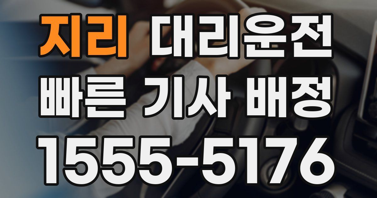 일일대리기사