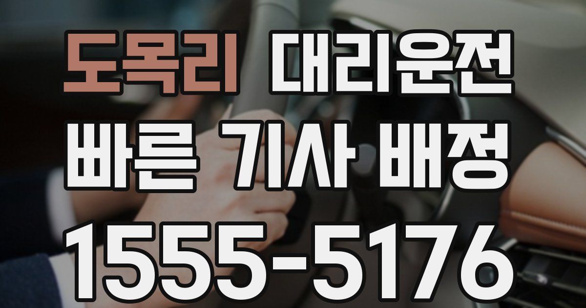 일일대리기사