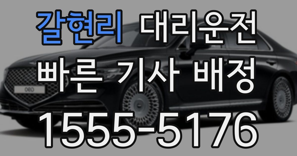 일일대리기사