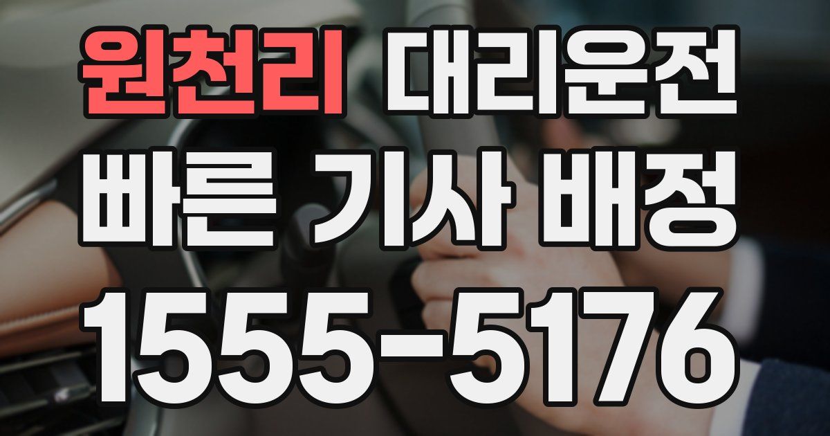 일일대리기사