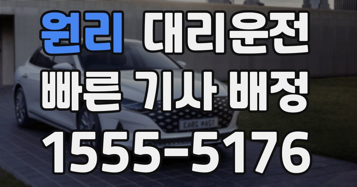 일일대리기사