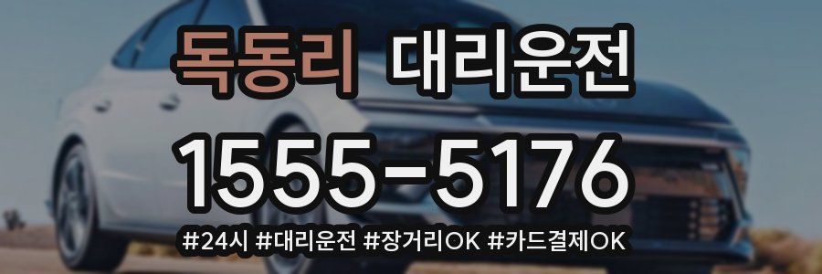 독동리 대리운전