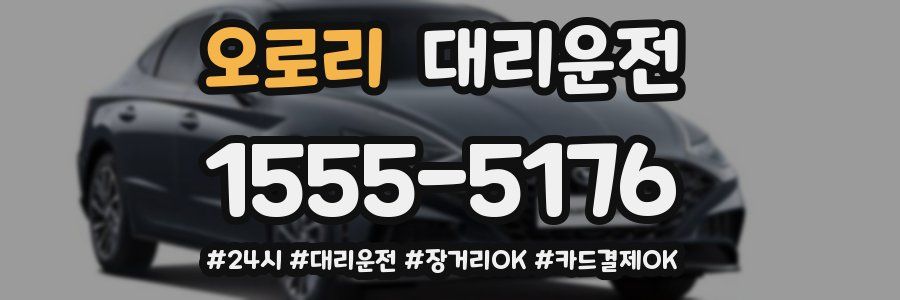 오로리 대리운전