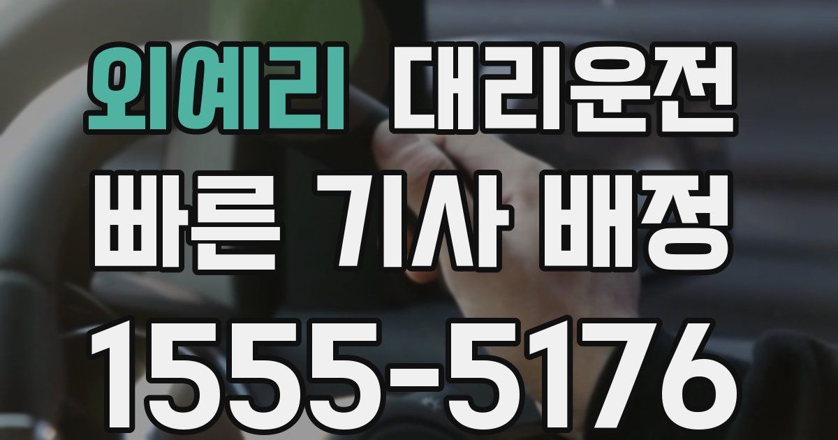 일일대리기사