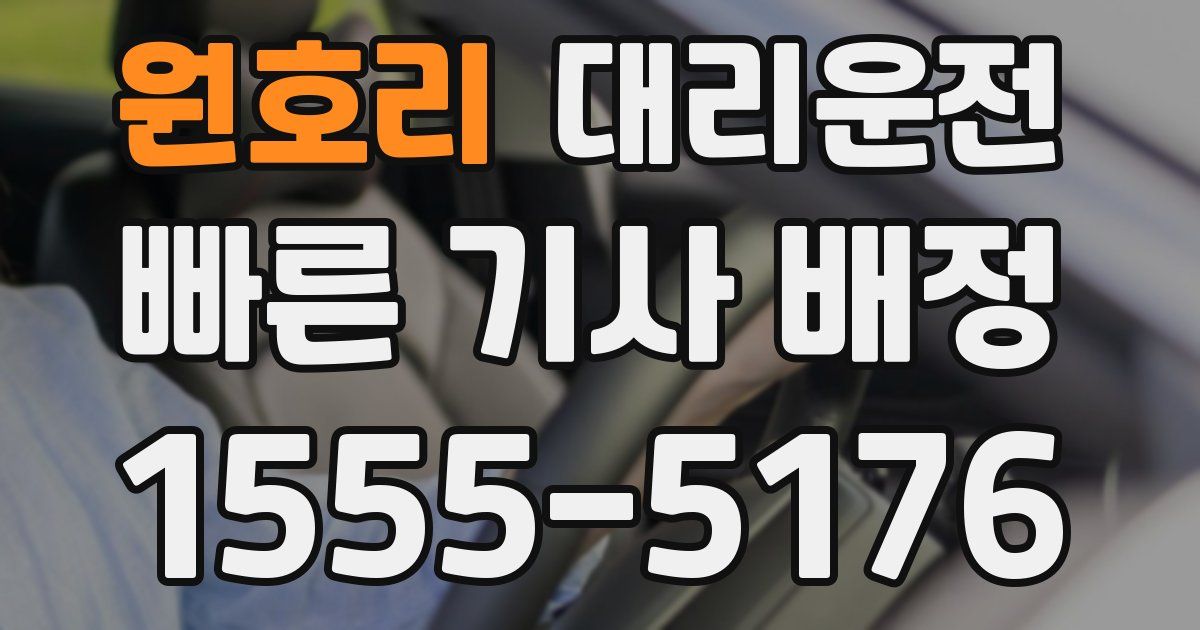 일일대리기사