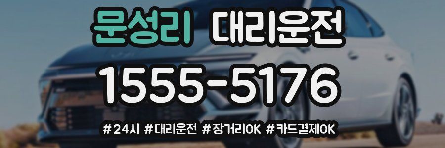 문성리 대리운전