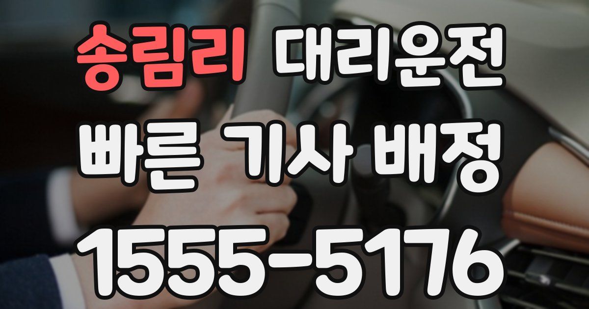 일일대리기사