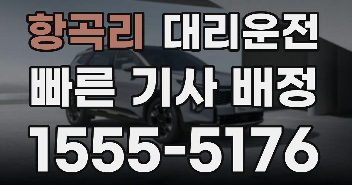 일일대리기사