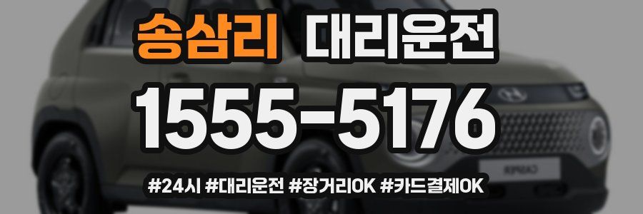 송삼리 대리운전