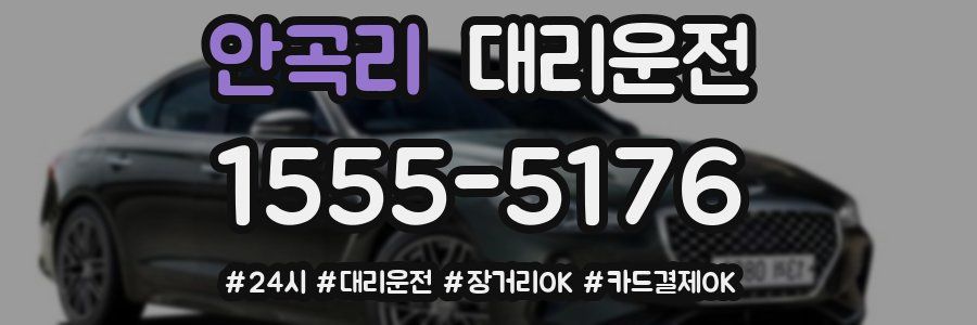 안곡리 대리운전