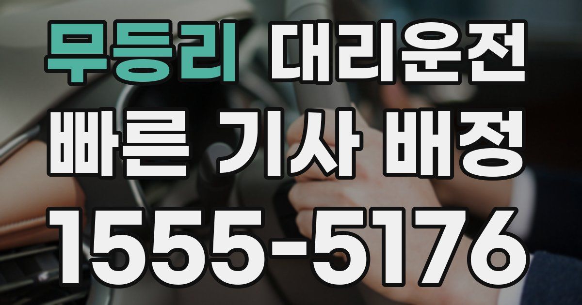일일대리기사