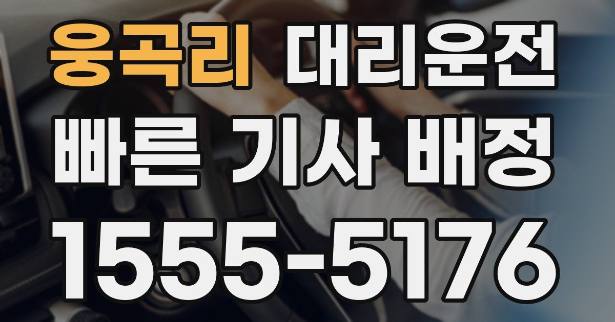 일일대리기사