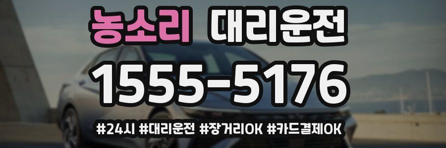 농소리 대리운전