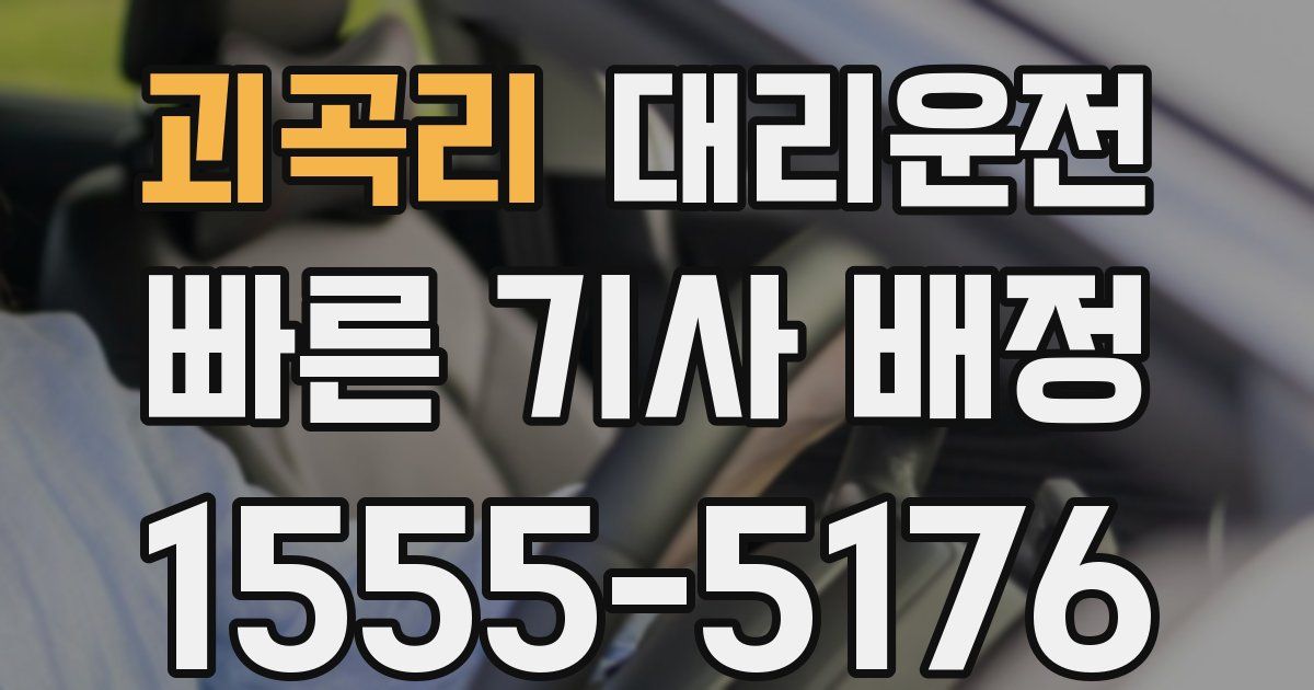 일일대리기사