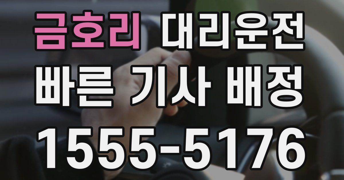 일일대리기사