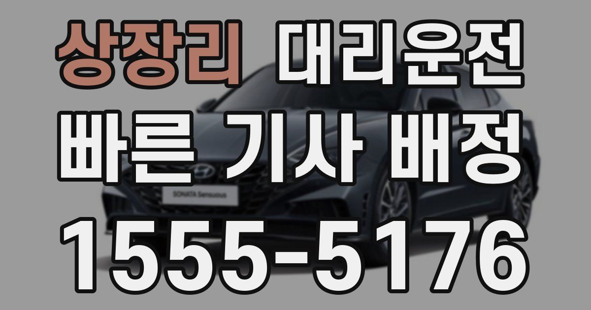 일일대리기사