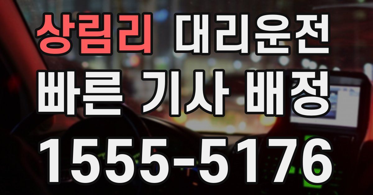 일일대리기사