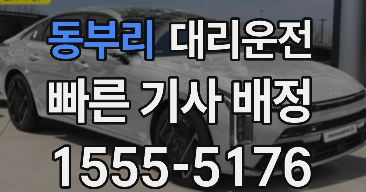 일일대리기사