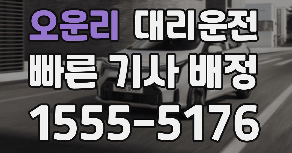 일일대리기사