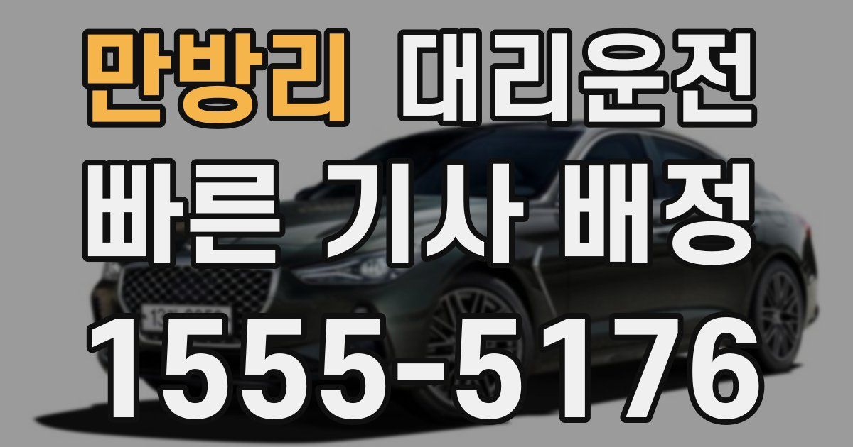 일일대리기사