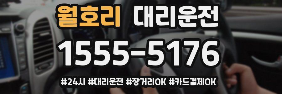 월호리 대리운전