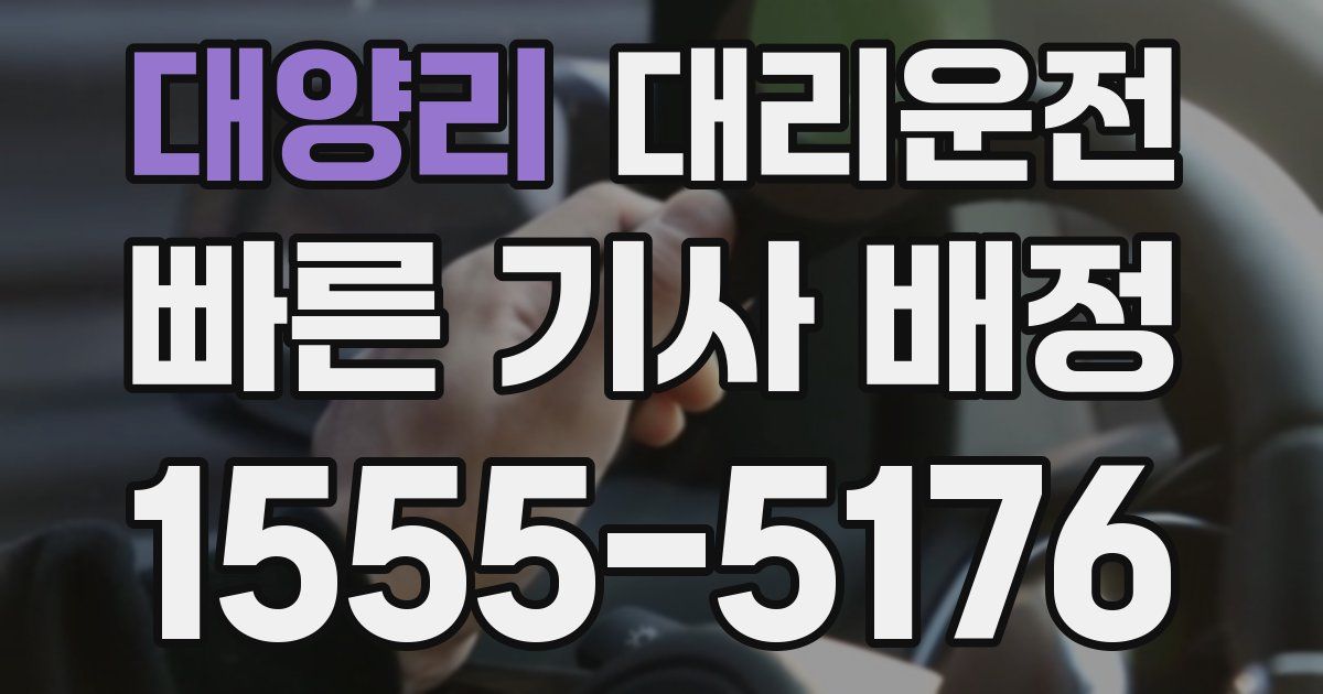일일대리기사
