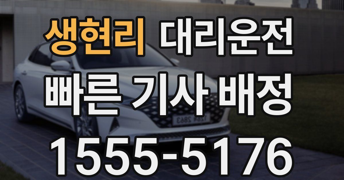 일일대리기사