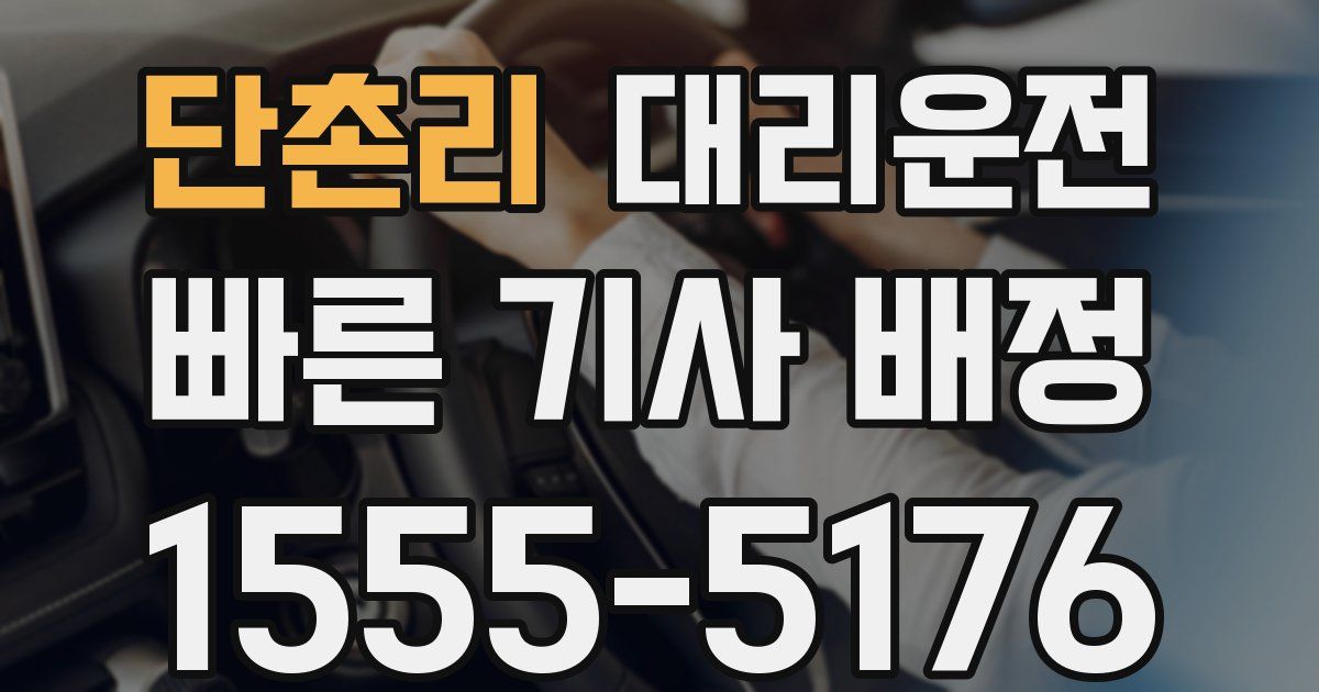 일일대리기사