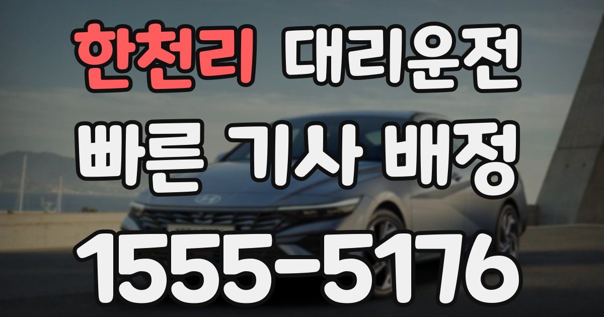 일일대리기사