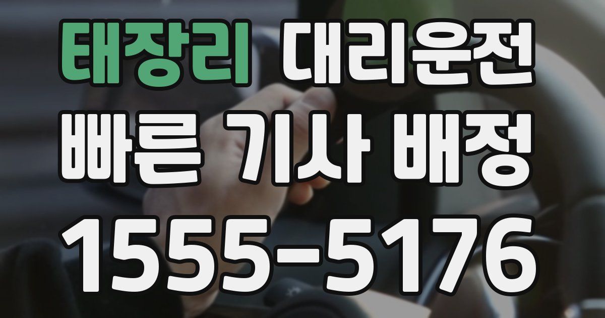 일일대리기사