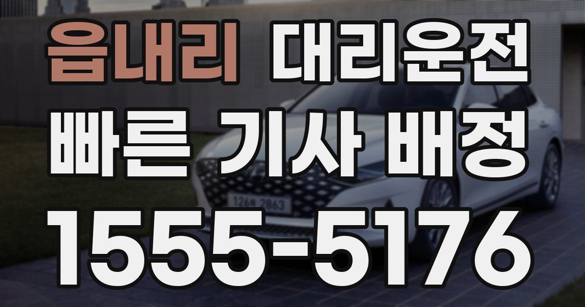 일일대리기사