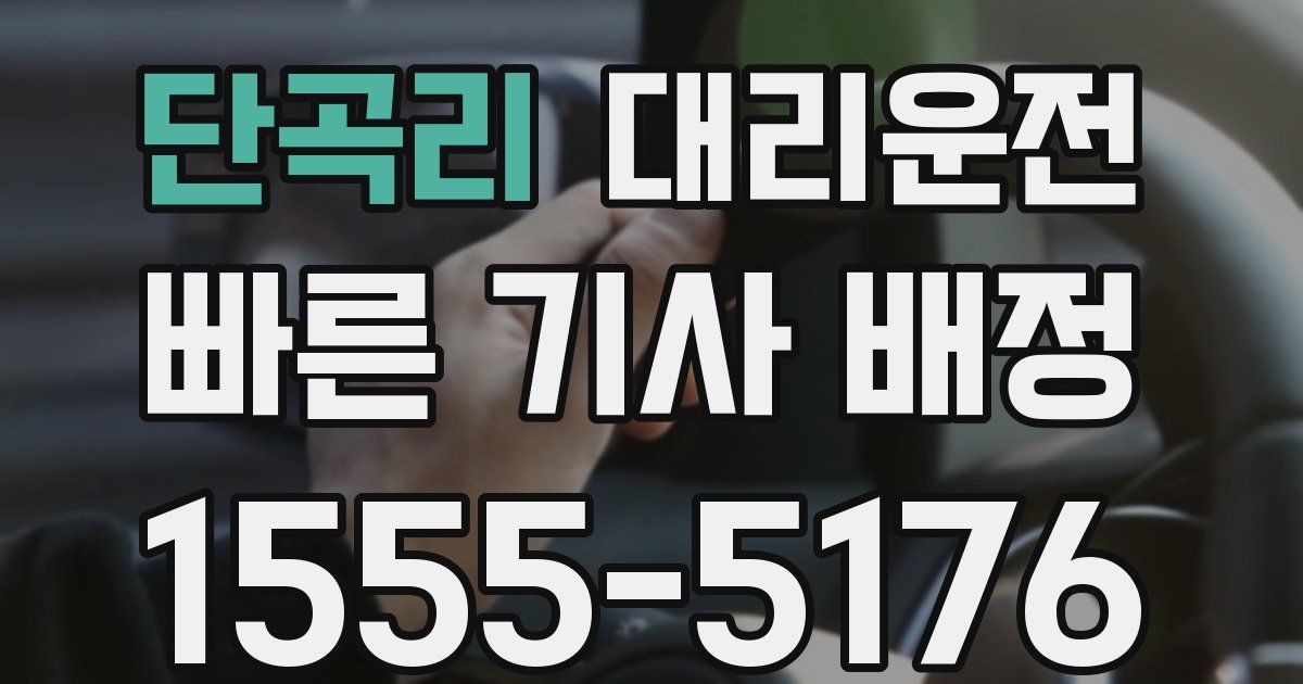 일일대리기사