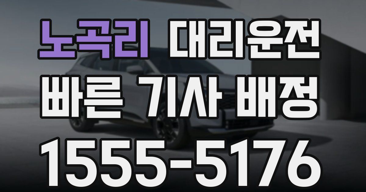 일일대리기사