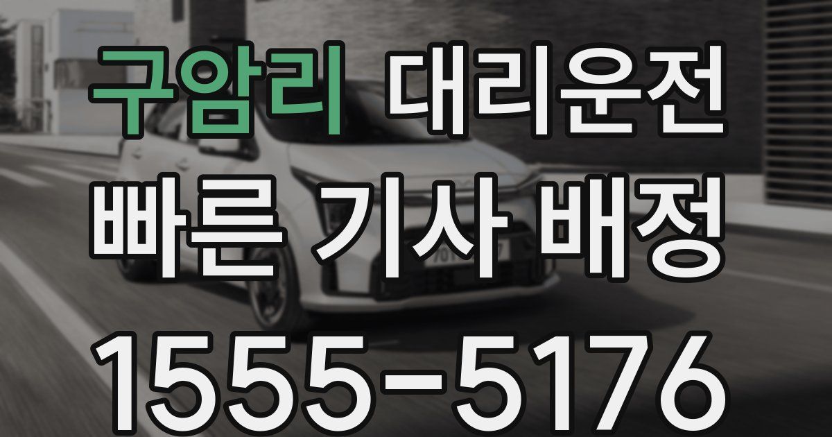 일일대리기사